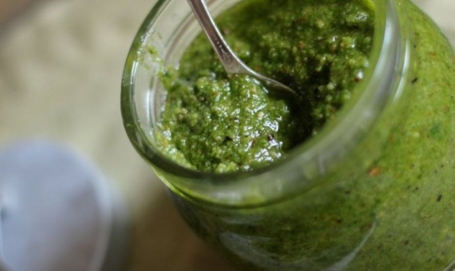 Rezept für selbstgemachtes Bärlauchpesto: