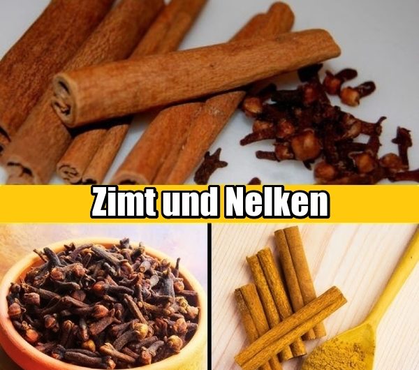 Zimt und Nelken: Natürliche Kraft für Stoffwechsel, Verdauung und Immunsystem