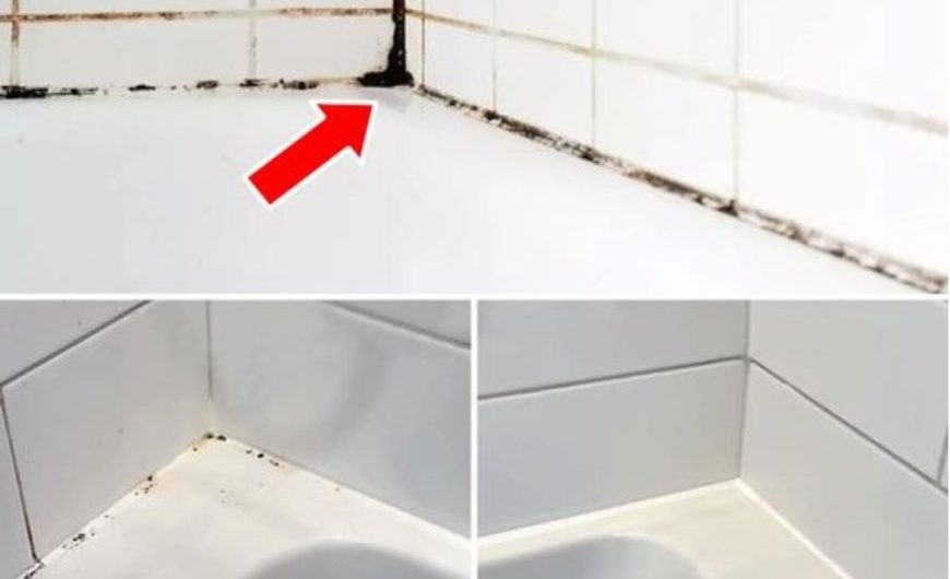 Schimmel in Silikonfugen? So werden Sie ihn los!