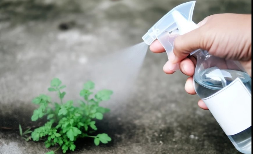 Natürliche Unkrautbekämpfung: Effektive Hausmittel für einen gepflegten Garten
