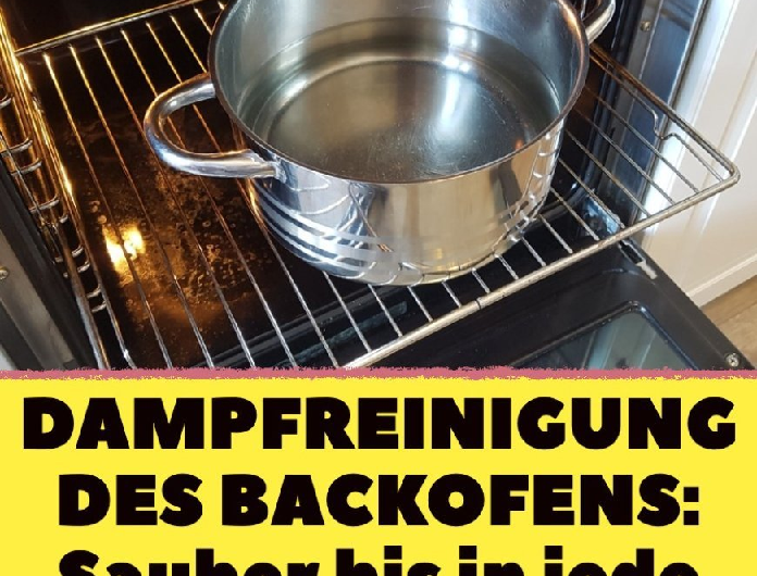 So reinigst du deinen Backofen ganz einfach mit Wasserdampf – schonend und effektiv