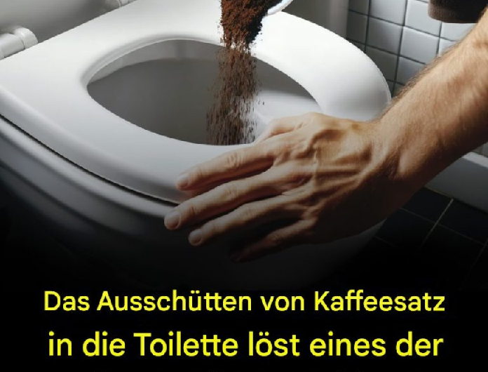 Darum solltest du niemals Kaffeesatz in die Toilette schütten – ein weit verbreiteter Irrtum mit Folgen