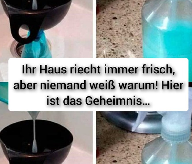 Ihr Zuhause duftet immer frisch, aber niemand weiß warum? Hier ist das Geheimnis!