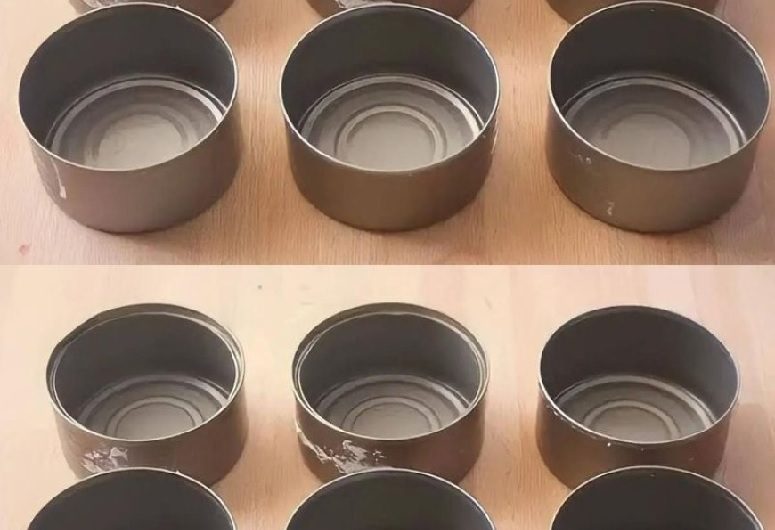 Kreative Wiederverwendung von Thunfischdosen: Praktische Ideen für Zuhause