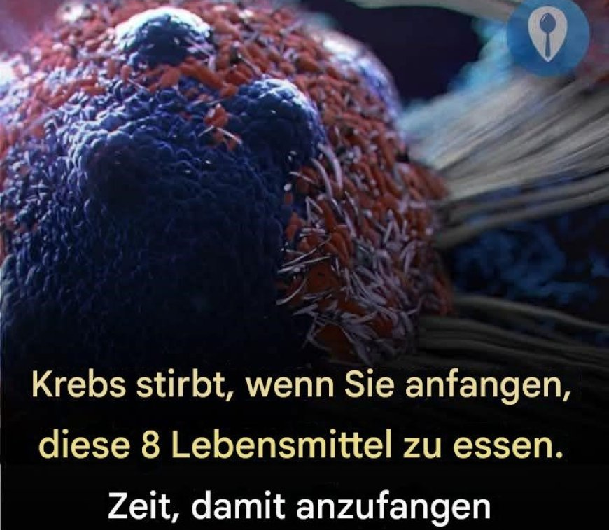 8 wirksame Anti-Krebs-Lebensmittel, die du in deinen Alltag integrieren solltest