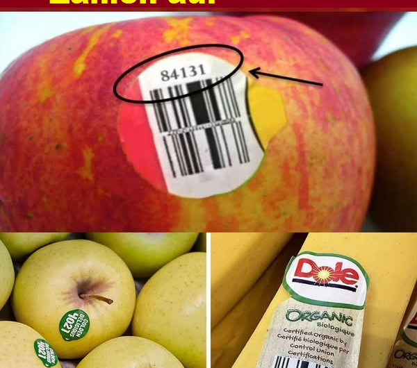 Die versteckte Bedeutung der Zahlen auf Obststickern: Was jeder Käufer wissen sollte