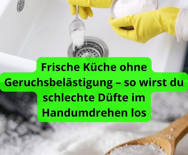 Frische Küche ohne Geruchsbelästigung – so wirst du schlechte Düfte im Handumdrehen los