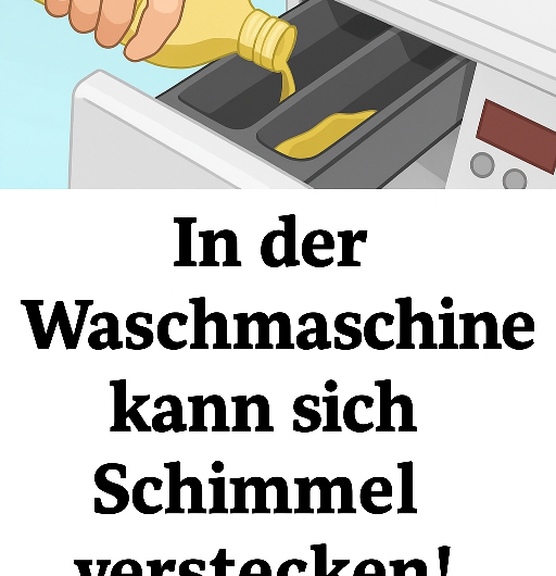 In der Waschmaschine kann sich Schimmel verstecken! So werden Sie ihn ein für alle Mal los