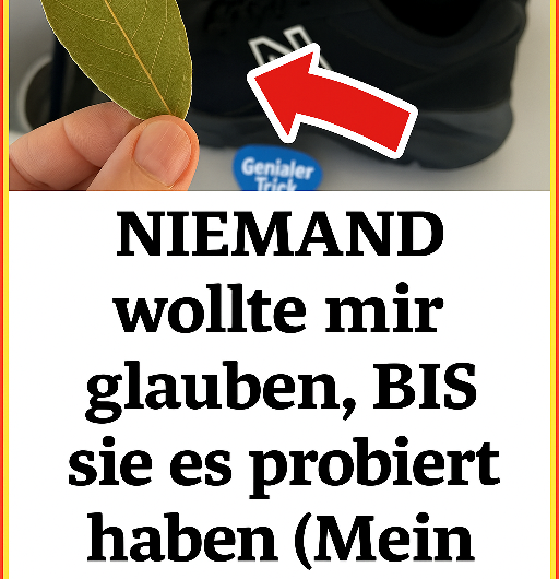 Niemand wollte mir glauben, BIS sie es probiert haben: Der geheime Trick mit Lorbeerblättern gegen unangenehme Schuhgerüche