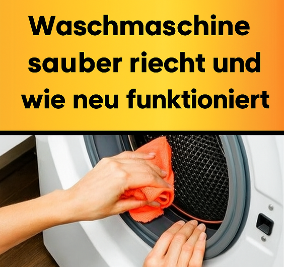 Der geniale Trick, damit Ihre Waschmaschine sauber riecht und wie neu funktioniert