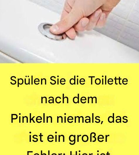 Warum Sie die Toilette nach dem Pinkeln nicht sofort spülen sollten – ein alltäglicher Fehler mit großen Folgen