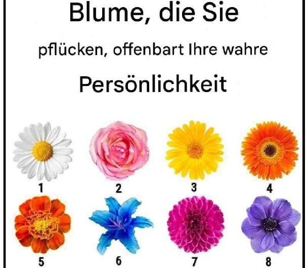 Wähle eine Blume – und entdecke deinen wahren Charakterzug