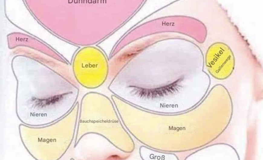 Face Mapping: Was Ihre Haut über Ihre Gesundheit verrät