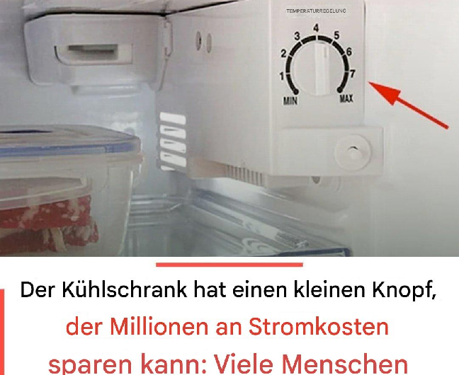 Viele Menschen wissen das nicht: Dieser kleine Kühlschrank-Knopf spart bares Geld bei der Stromrechnung!