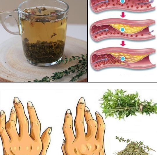 Thymian: Die geheime Wunderpflanze für Gesundheit, Küche und Wohlbefinden