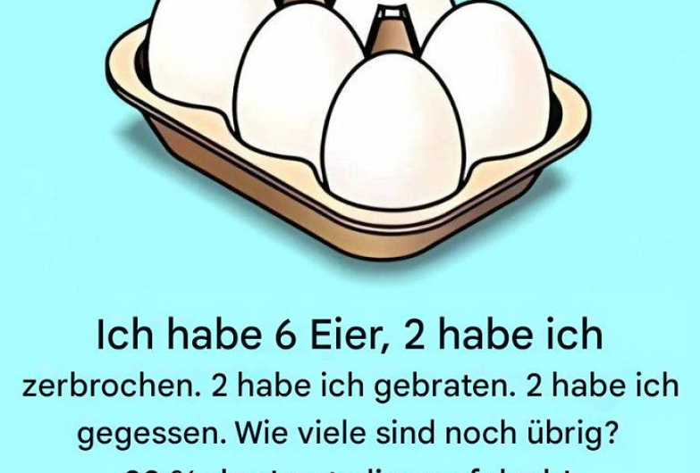 Entdecken Sie das Geheimnis der verschwundenen Eier – Ein Rätsel, das Ihnen den Kopf verdrehen wird