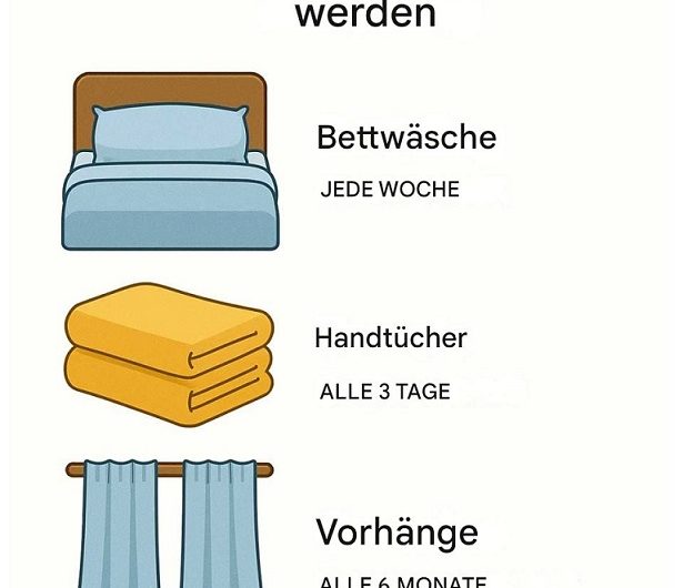 Die meisten machen das falsch – So oft sollte man alles aktualisieren