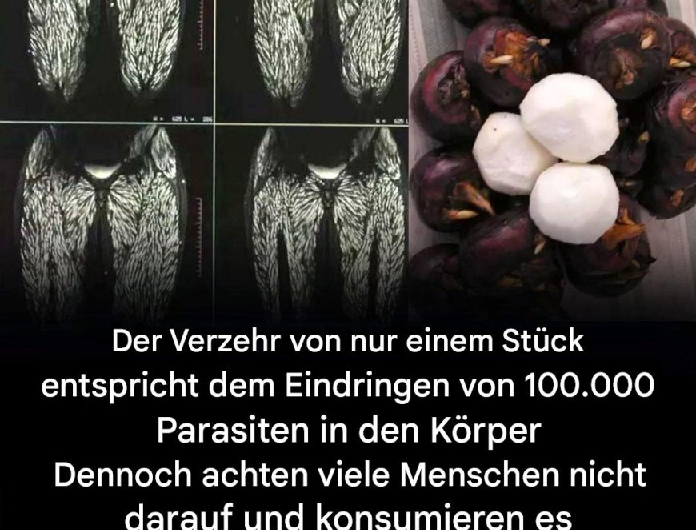 Schon ein einziger Bissen ist schädlich, dennoch essen viele ihn ohne Bedenken