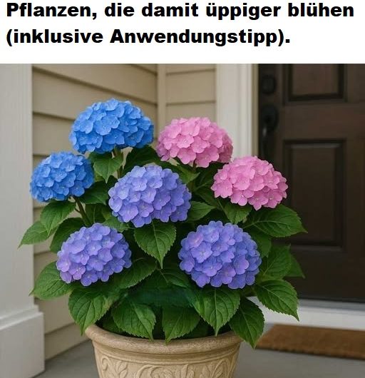 Decken Sie sich mit Natron ein. 12 Pflanzen, die damit üppiger blühen (inklusive Anwendungstipp).