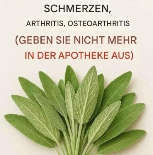 Salbei statt Schmerzmittel: Dieses uralte Hausmittel stärkt dein Gehirn, lindert Entzündungen und heilt Gelenkschmerzen ganz natürlich!