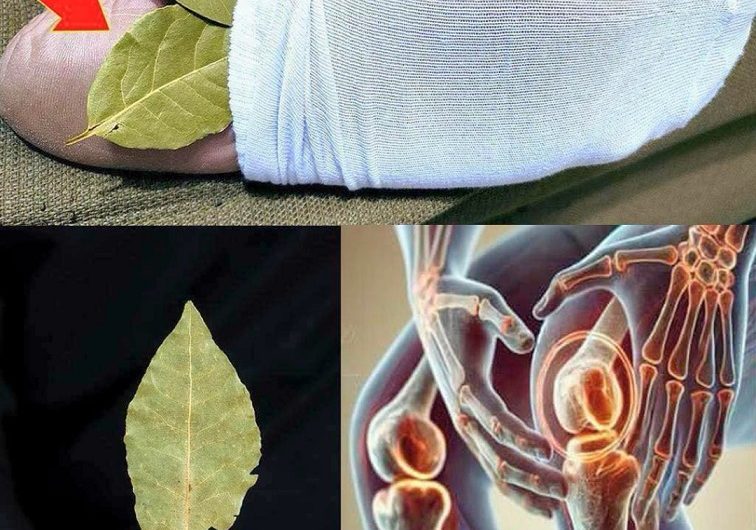 Lorbeerblatt in der Socke? Ich hab’s ausprobiert – und war selbst überrascht, was dann passierte