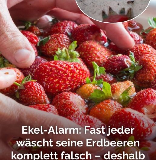 Erdbeerpüree einfrieren & auftauen – DAS musst du beachten!