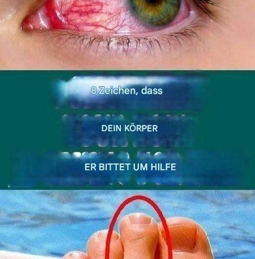 Wenn dein Körper leise schreit – und du endlich zuhörst