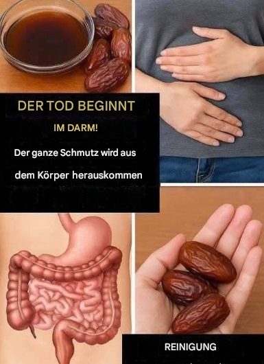 „Der Tod beginnt im Darm“: Darmreinigung auf natürliche Weise mit Datteln