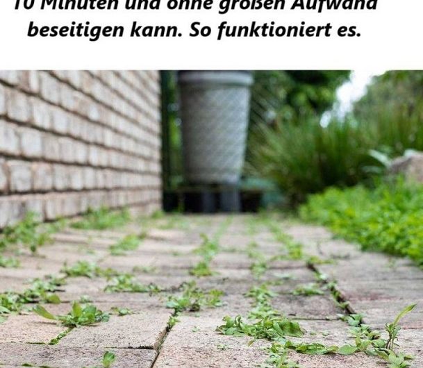 Davon hatte ich keine Ahnung! Gut zu wissen – Mit diesem Trick ist Unkraut in nur 10 Minuten Geschichte