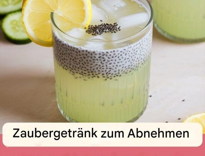 Kühlen Sie sich mit der Gewichtsabnahme-Wirkung dieses Getränks aus Zitrone, Gurke und Chiasamen ab – Erfrischend, gesund und effektiv!