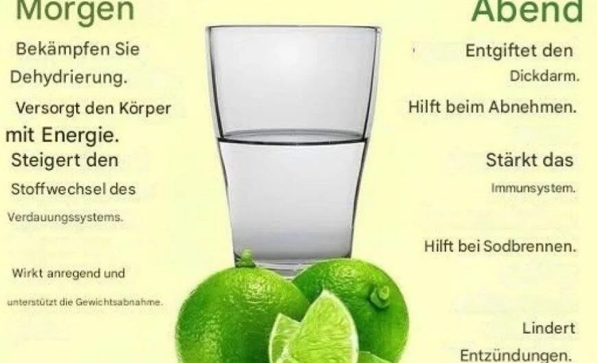 Zitronenwasser morgens und abends – die kleine Routine mit großer Wirkung für Gesundheit und Sommerfrische