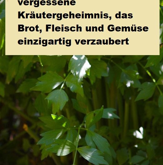 Liebstöckelbutter: Das vergessene Kräutergeheimnis, das Brot, Fleisch und Gemüse einzigartig verzaubert