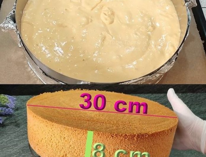 Bäckermeister Biskuitboden – der einfach immer gelingt in 5 Minuten