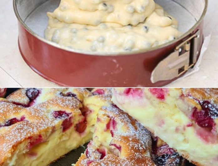 Blitz-Kirschkuchen mit Vanillepudding – fruchtig, saftig und einfach unwiderstehlich