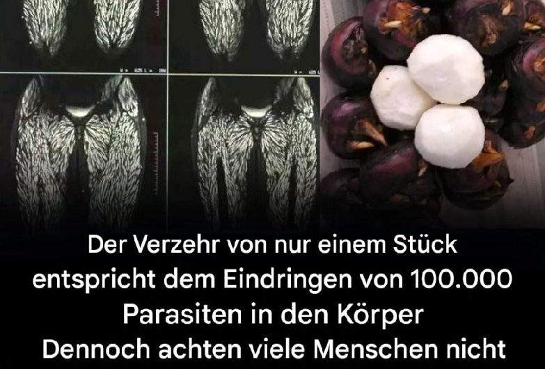 Schon ein einziger Bissen ist schädlich, dennoch essen viele ihn ohne Bedenken