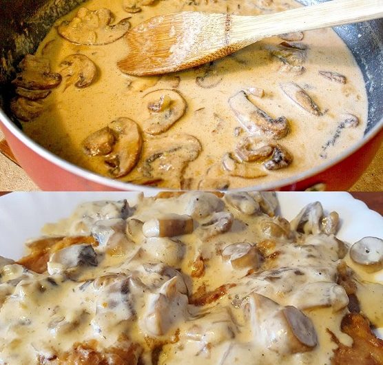 Mein Mann hasste Pilze – bis ich ihm diese Schwarzwälder Jägersauce servierte. Jetzt verlangt er sie jedes Wochenende!