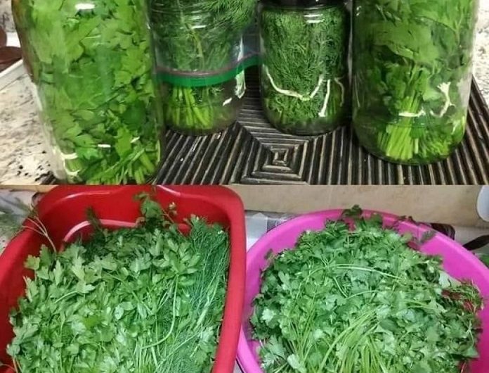 So bleibt Petersilie monatelang frisch und aromatisch