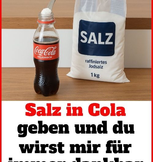 Warum ich heute IMMER Salz in Cola gebe – und wie dieser einfache Trick meinen Haushalt verändert hat