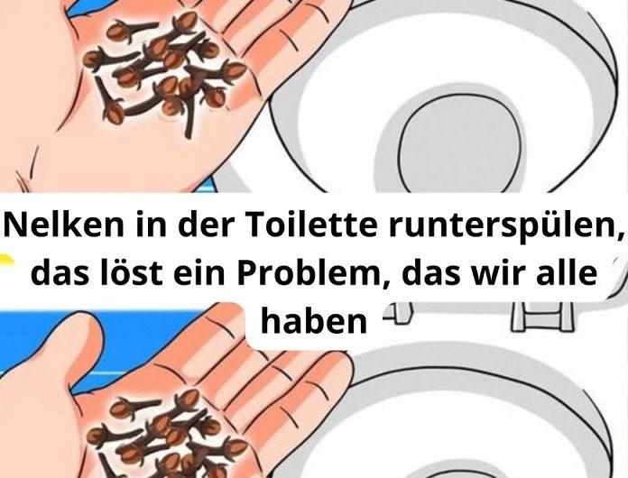 Gestern habe ich wieder Nelken in die Toilette geworfen… und ich muss sagen: hätte mir das jemand früher gesagt, ich hätte mir so viele peinliche Momente im Bad erspart.