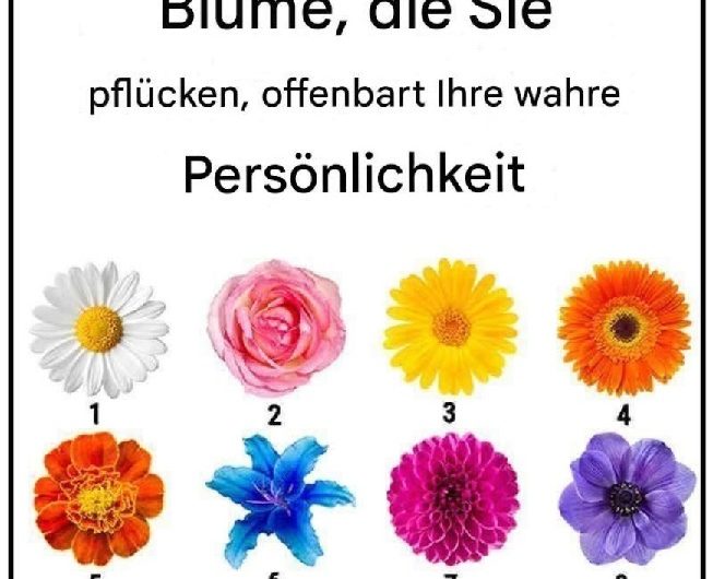 Kein Geschwätz. Die Blume, die Sie pflücken würden, sagt leise etwas über Ihren Charakter