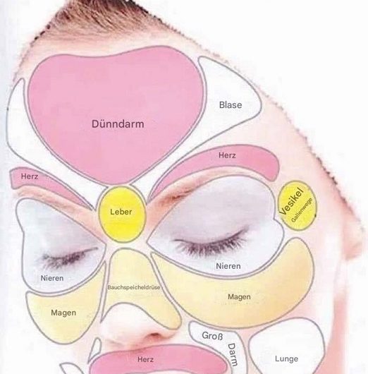 Face Mapping – was unsere Haut über unser inneres Gleichgewicht erzählen kann