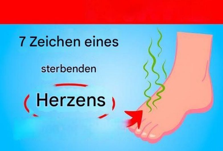 7 Anzeichen, die mich aufmerksam gemacht haben – worauf wir im Alltag achten sollten, wenn es um unser Herz geht