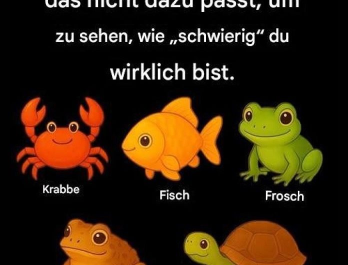 Warum uns solche Rätsel nicht loslassen – und was sie leise über uns erzählen