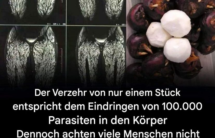 Ein Bissen, der alles verändern kann: Wie ich lernte, unscheinbare Lebensmittel mit neuen Augen zu sehen