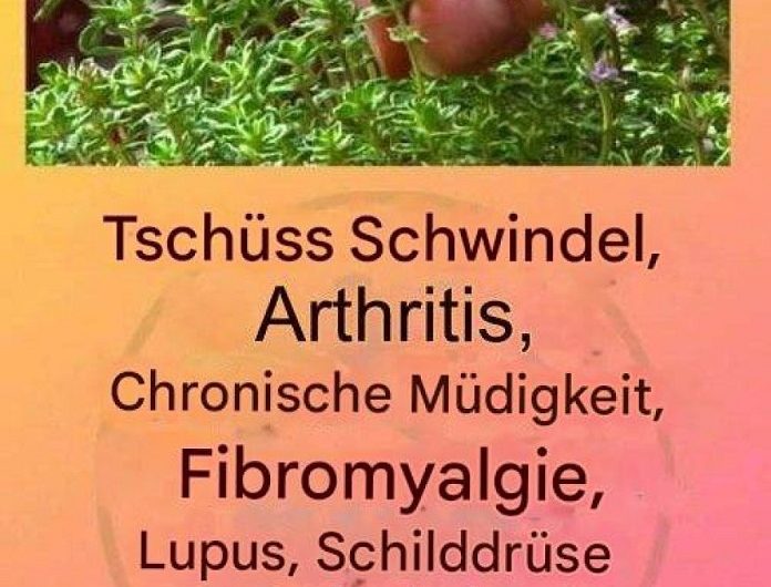 Thymiantee – das warme Ritual aus Großmutters Küche, das Körper und Seele guttut