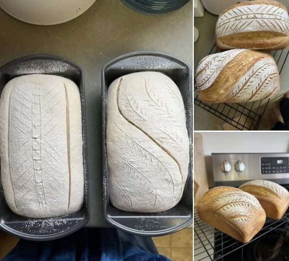 Dieses Brot verändert alles – mein einfachstes No-Knead-Brot, das immer gelingt und nach Zuhause schmeckt