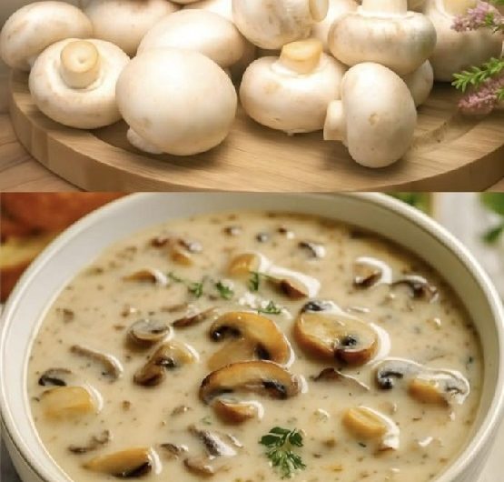 Diese cremige Pilzsuppe wärmt Herz und Seele – ein Rezept, das bei uns immer wieder auf dem Tisch landet