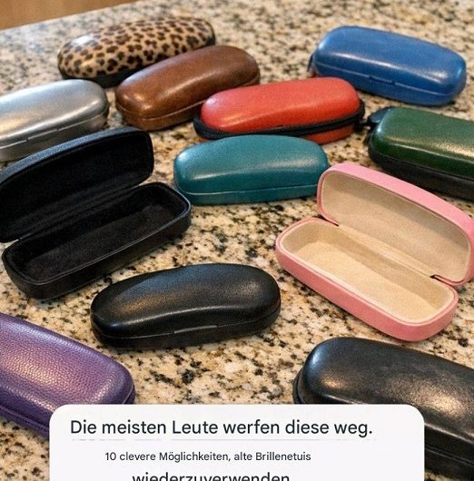Die meisten Menschen werfen sie weg – dabei stecken in alten Brillenetuis erstaunlich viele Möglichkeiten
