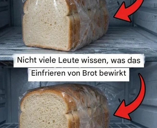 Nie wieder trockenes Brot – Mein persönlicher Leitfaden zum richtigen Einfrieren für entspannte Alltage
