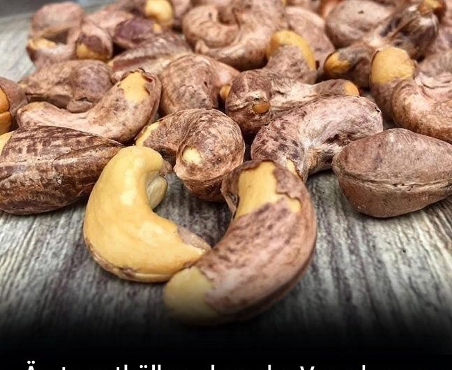 Warum Cashewnüsse plötzlich in aller Munde sind – und weshalb sie in meinem Alltag einen festen Platz bekommen haben